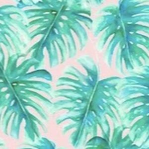 Meet your Posher, Bella